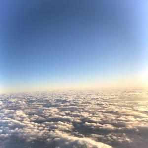 东北女人老女人毛片天天谢
